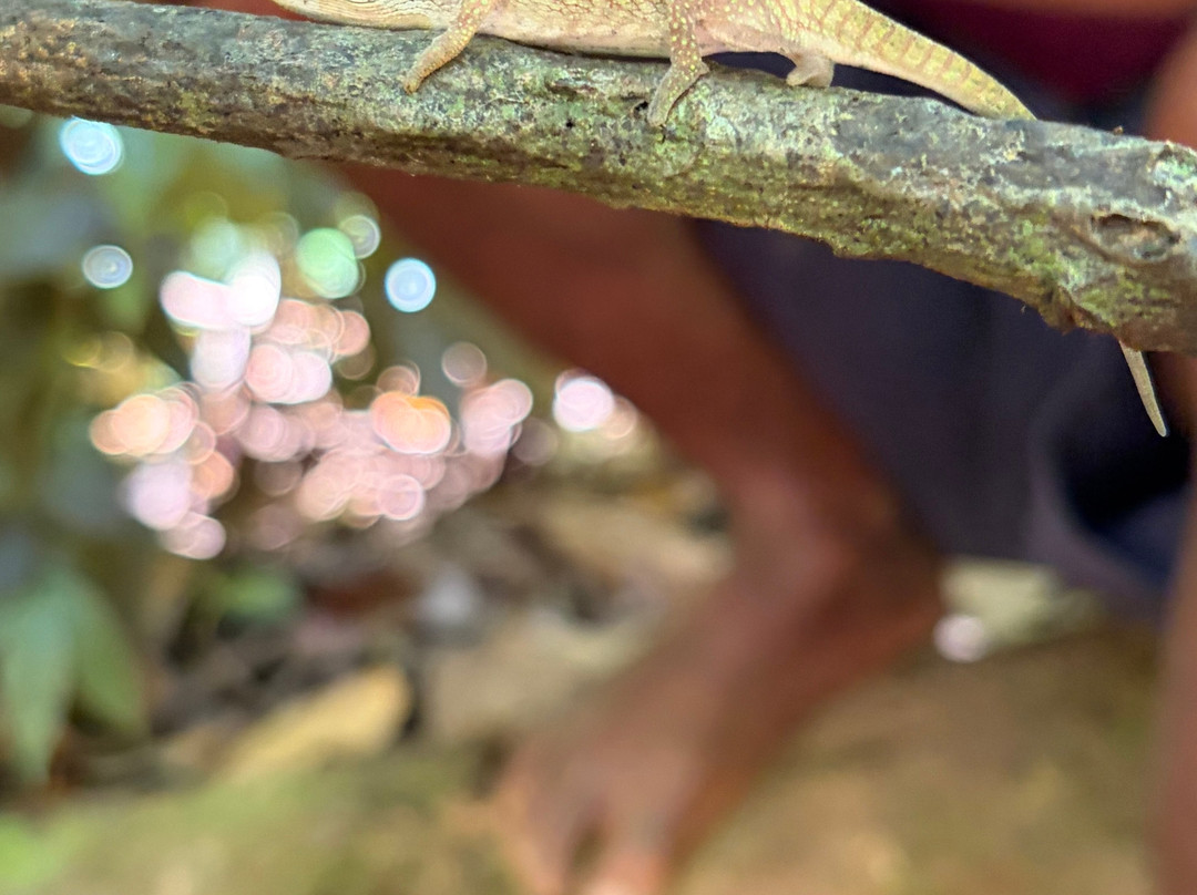 Nosy Be Alberto Tour-诺西贝必去景点