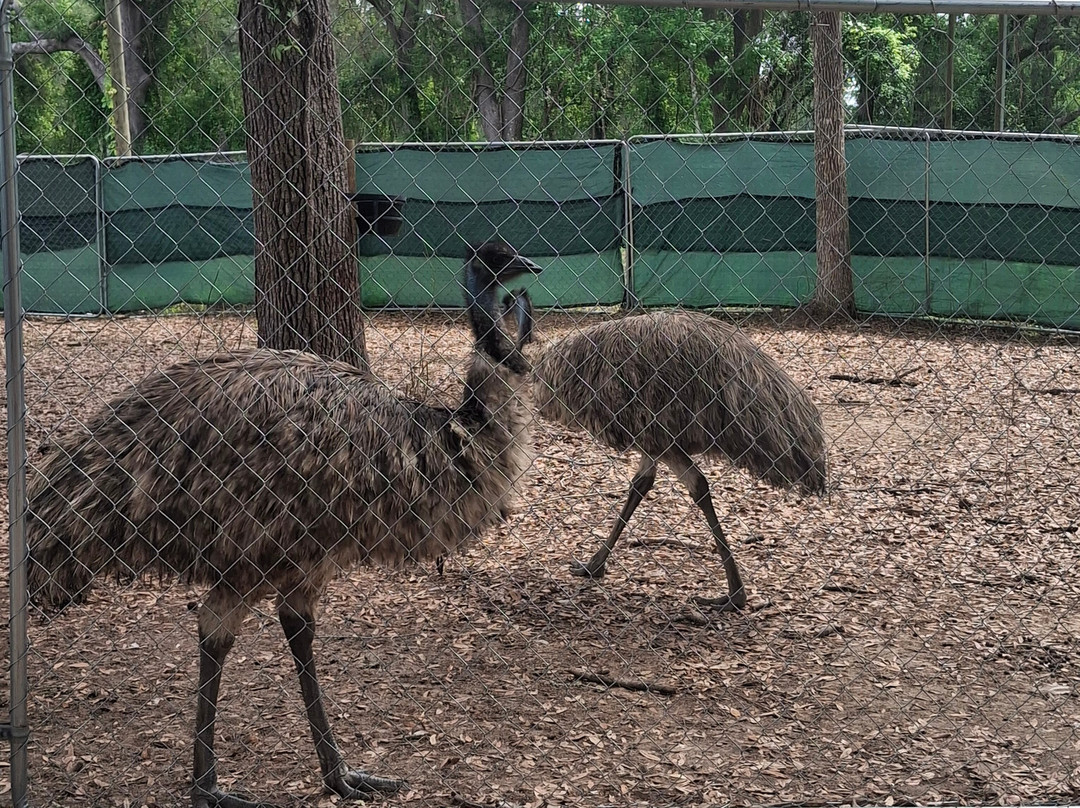 North Florida Wildlife Center-Lamont必去景点