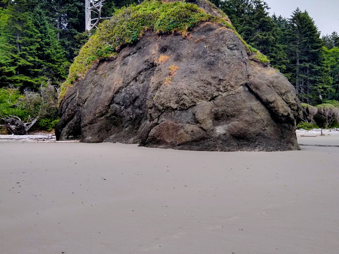 Second Beach-La Push必去景点