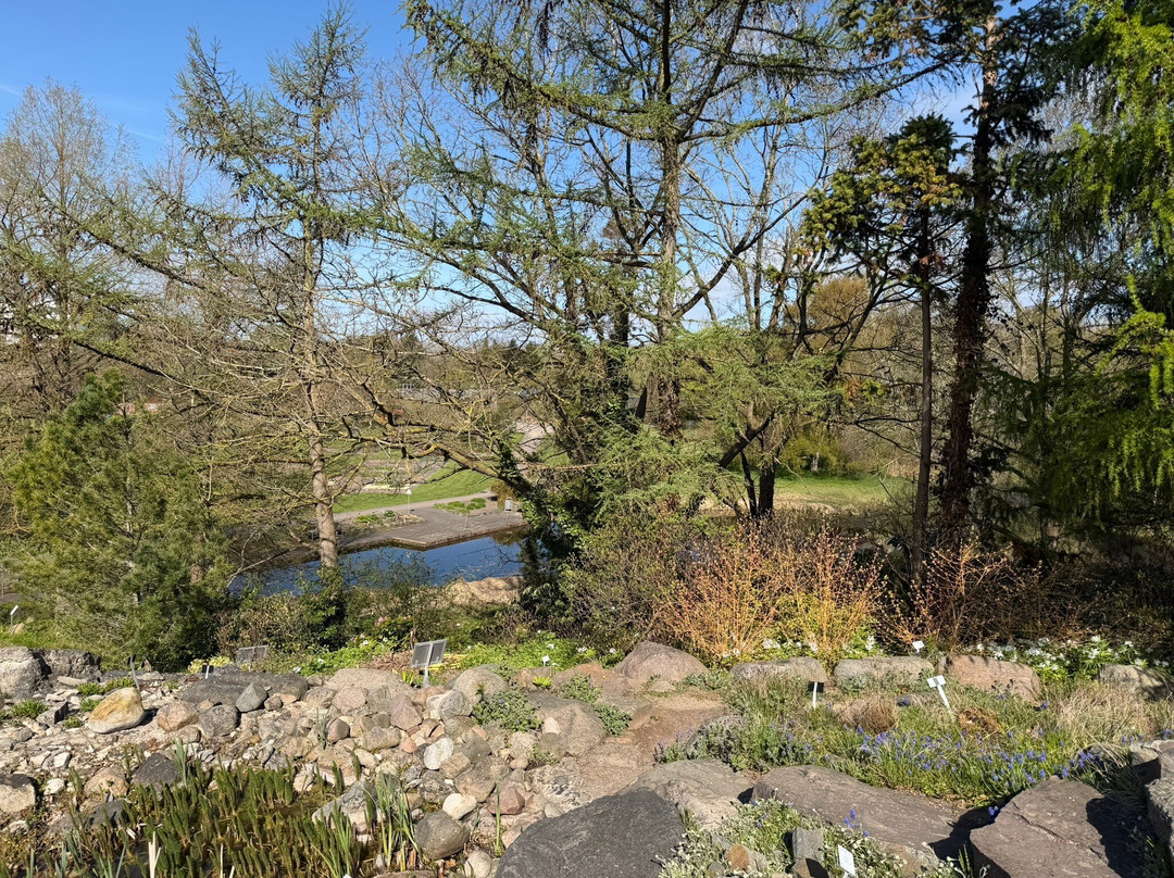 Botanic Garden Kiel-基尔必去景点