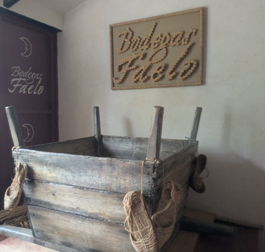 Bodegas Faelo-埃尔切必去景点