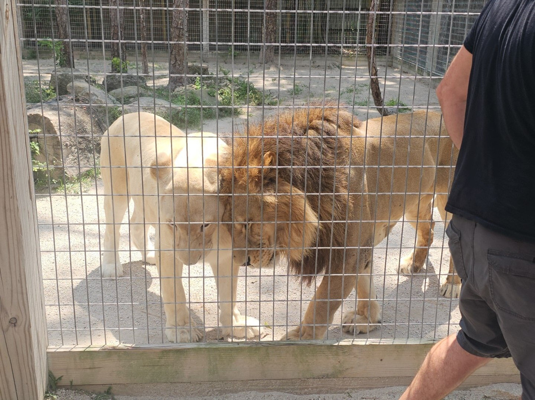 McCarthy's Wildlife Sanctuary-西棕榈滩必去景点