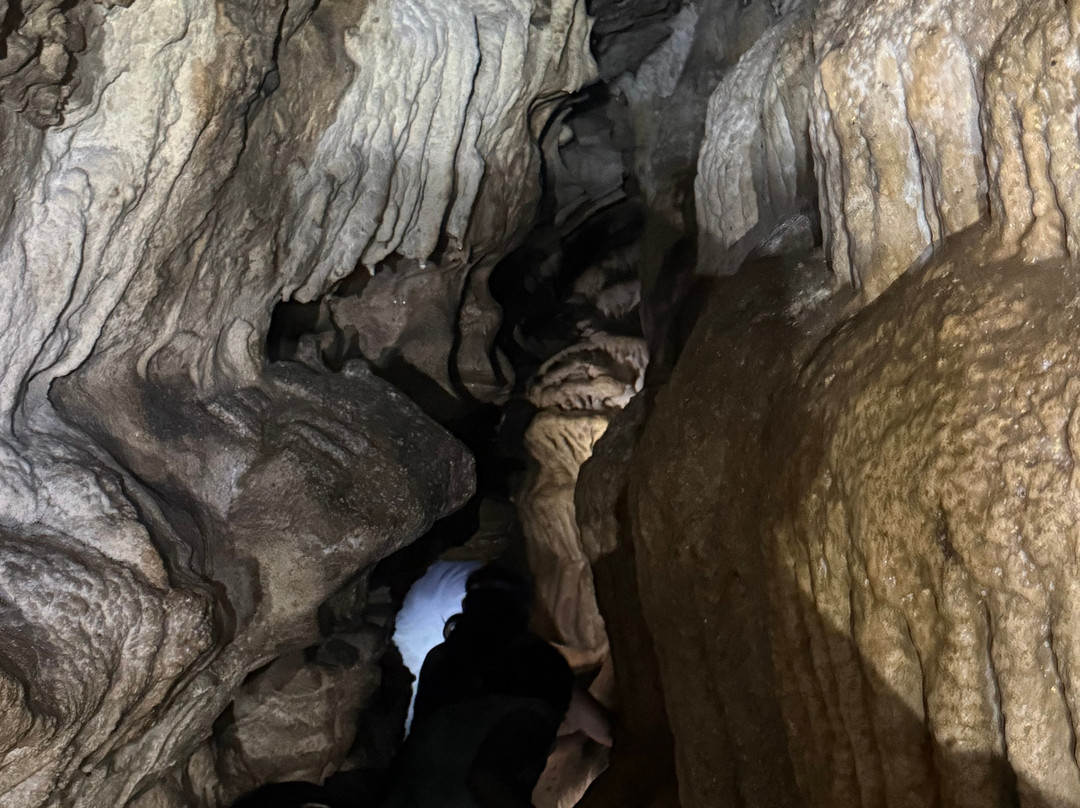 Cavernas Jumandy-Archidona必去景点