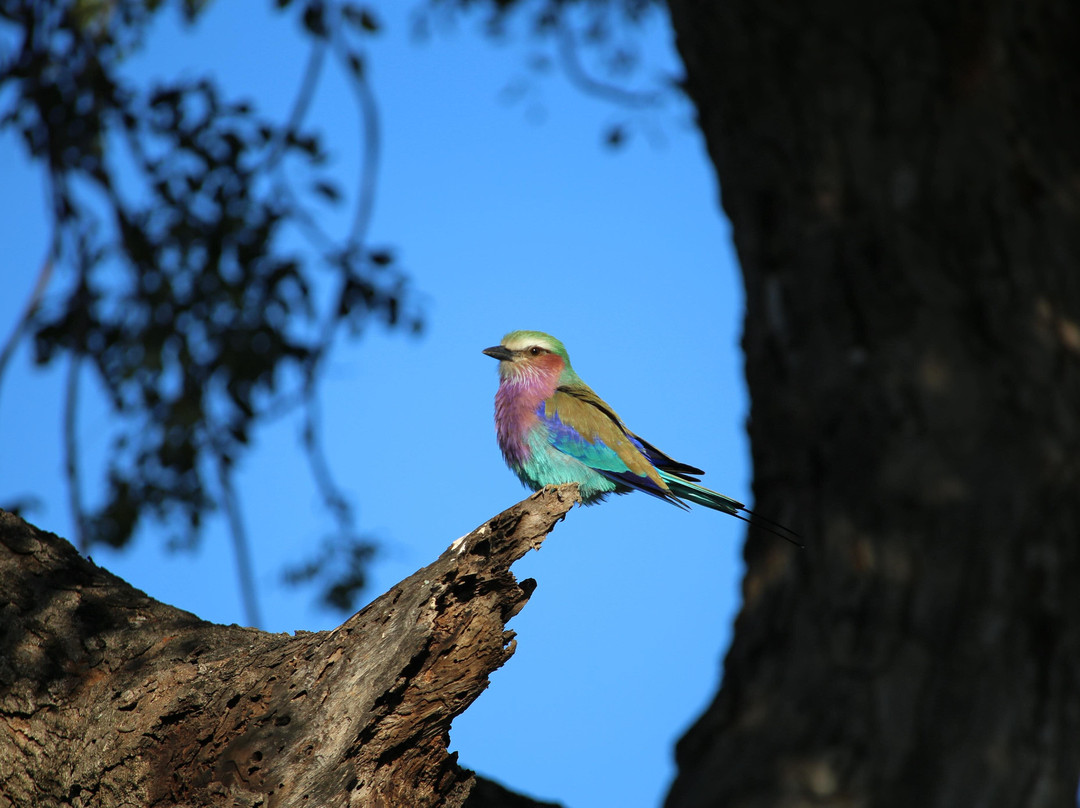 Discover Kruger Safaris-库马堤港必去景点