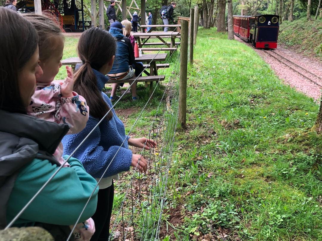 Perrygrove Railway Adventure-Coleford必去景点