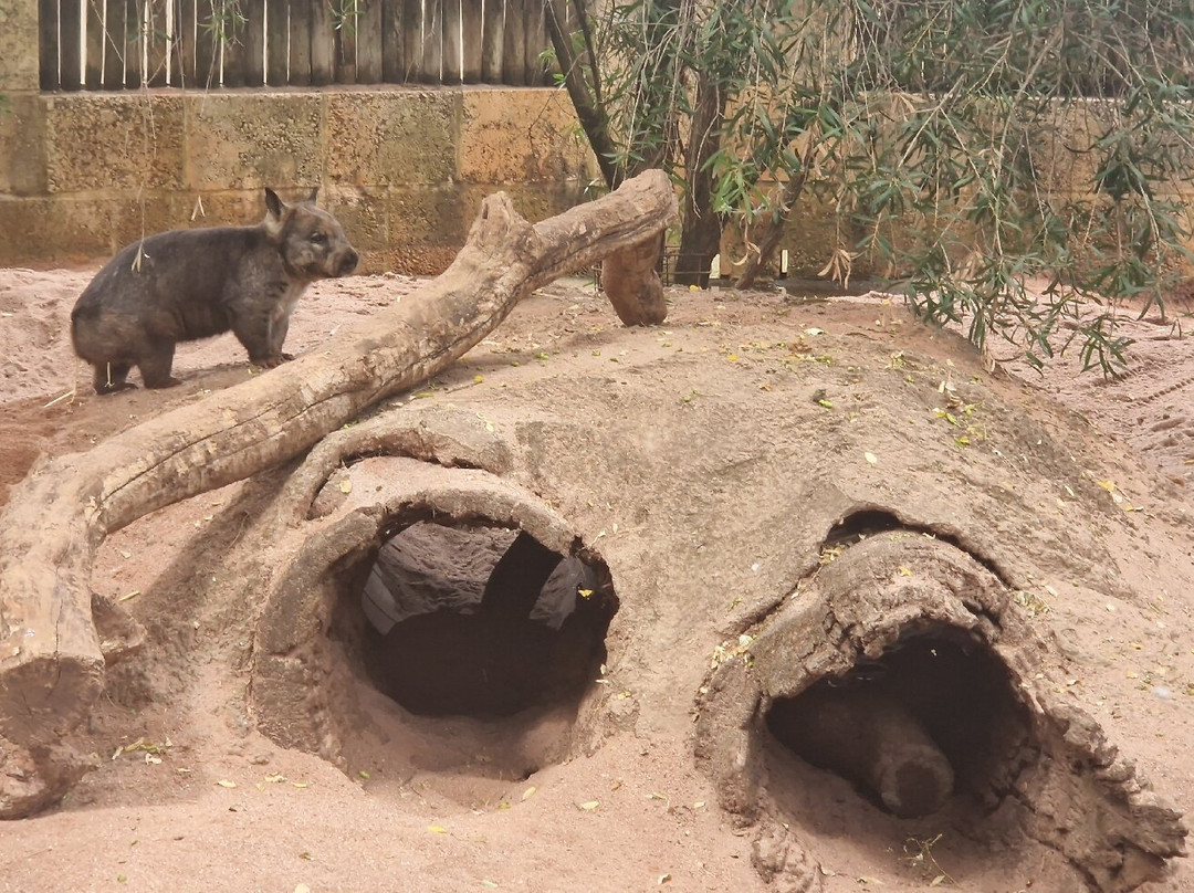 Caversham Wildlife Park-怀特曼 必去景点