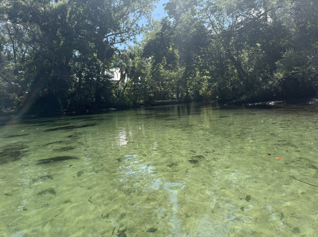 Weeki Wachee Kayaking-Weeki Wachee必去景点
