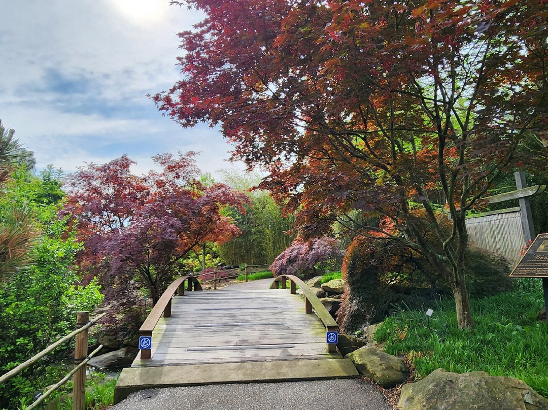 Creation Museum-Petersburg必去景点