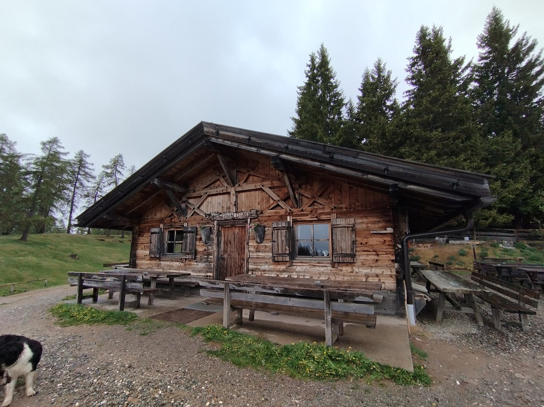 Malga Moschwald
