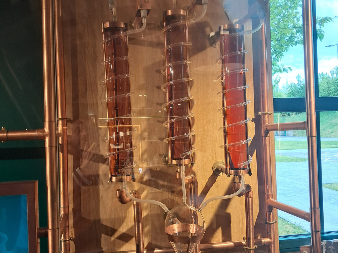 Tullamore D.E.W. Distillery Experience-Tullamore必去景点