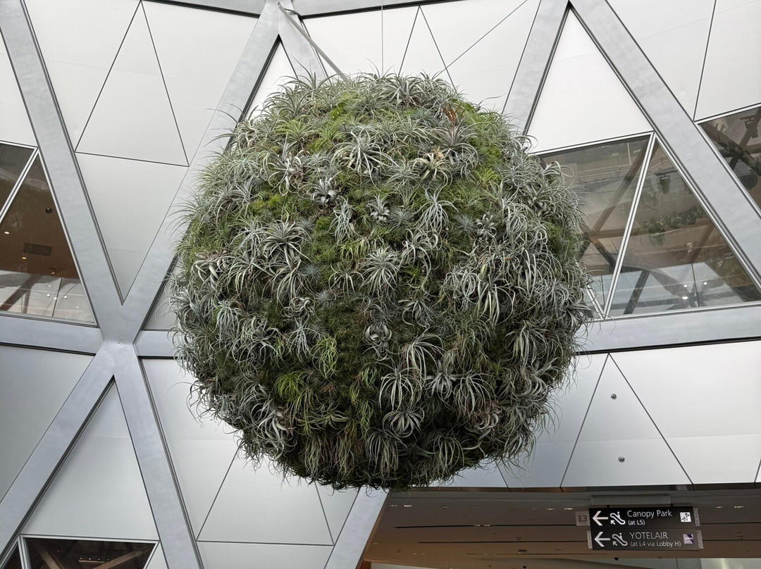 Jewel Changi Airport-新加坡必去景点