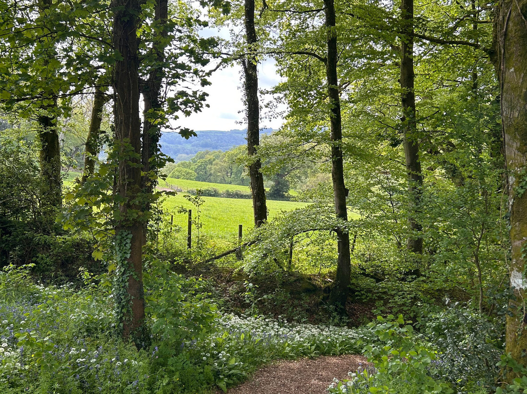Aberglasney Gardens-Llangathen必去景点