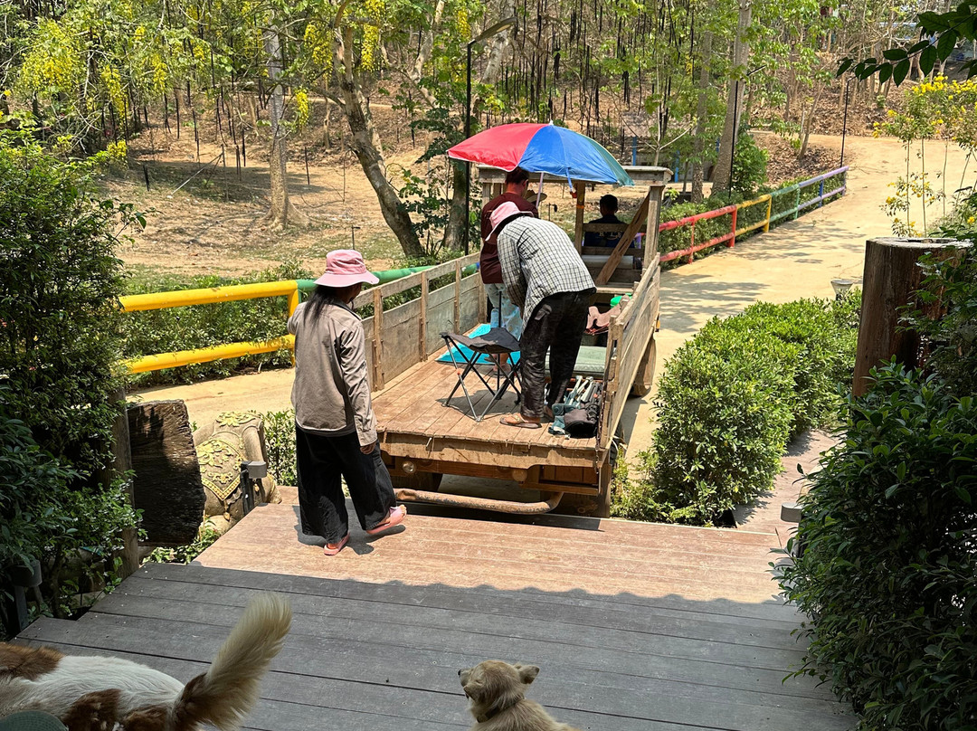 Boon Lott's Elephant Sanctuary-素可泰必去景点