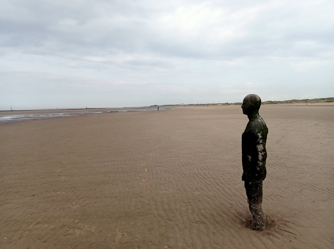 Crosby Beach-克罗斯比必去景点