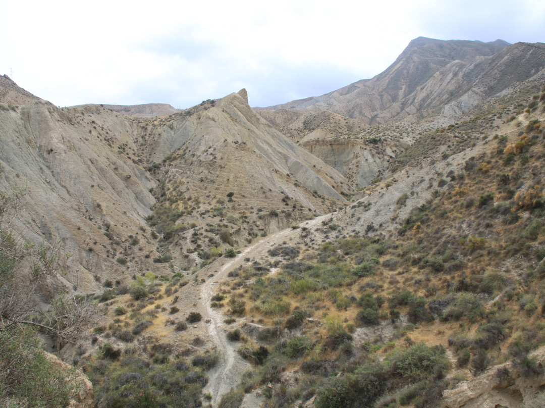 Desierto de Tabernas-阿尔梅里亚省必去景点