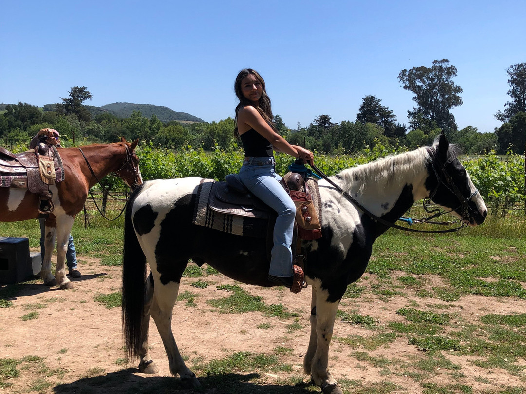 Sonoma Valley Trail Rides-索诺玛必去景点