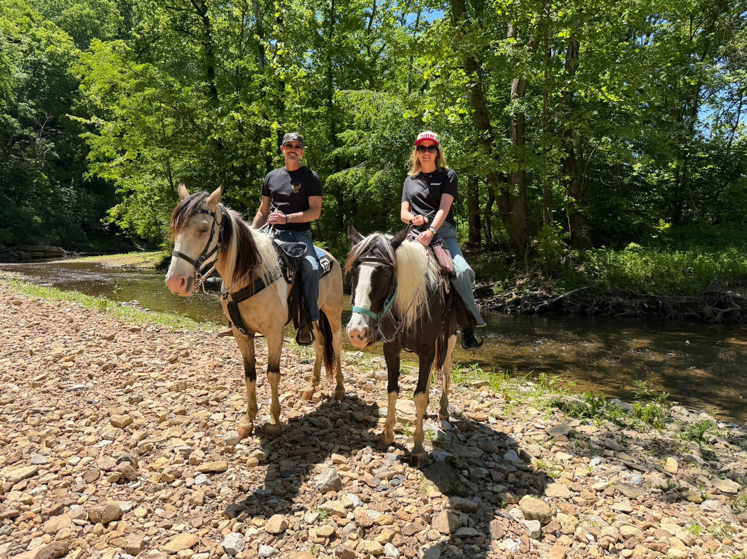 Natchez Trace Stables-Primm Springs必去景点