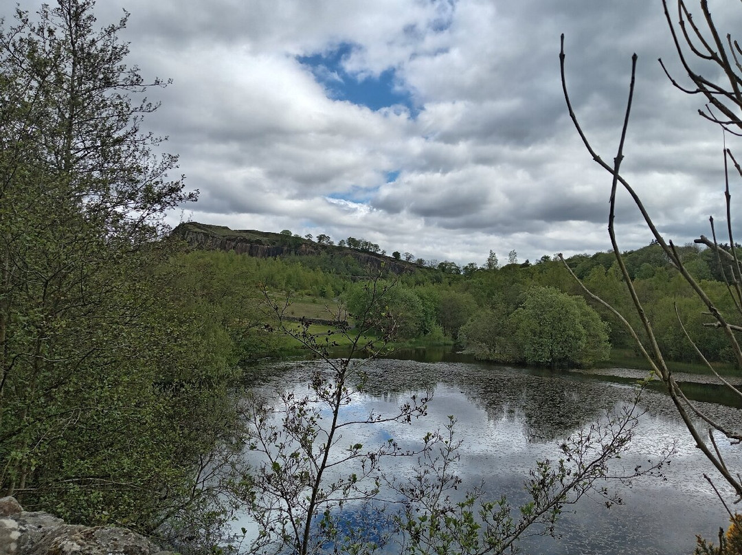 Walltown Country Park-Greenhead必去景点