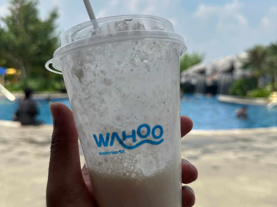 Wahoo Waterworld-万隆必去景点