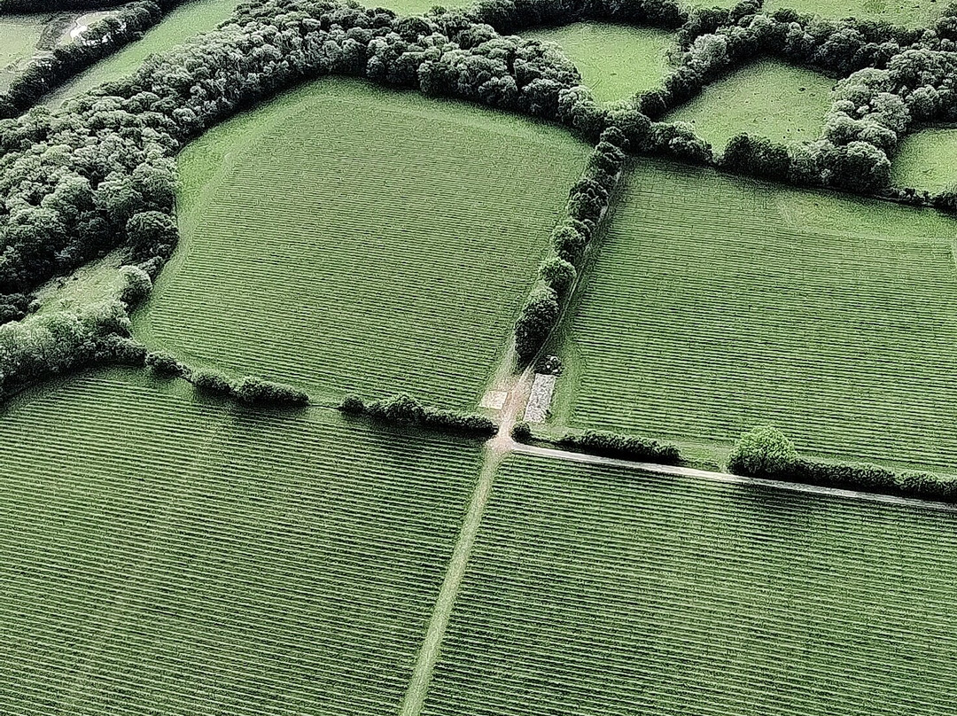 Virgin Balloon Flights - Guildford-吉尔福德必去景点
