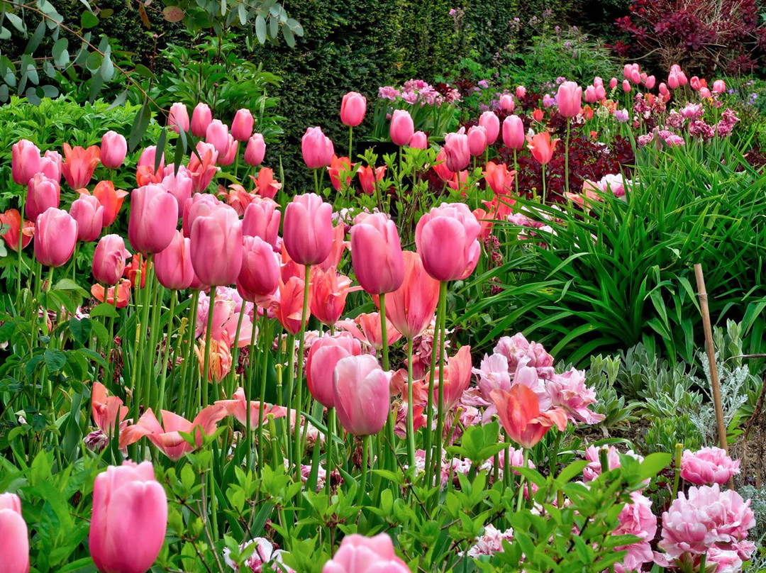 Kilver Court Gardens-Shepton Mallet必去景点