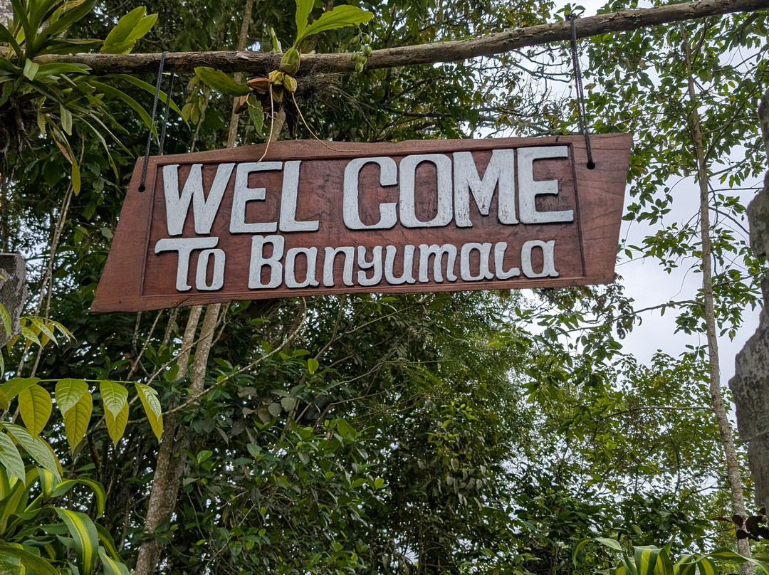 Pemuteran Menjangan Bali Transport-乌布必去景点