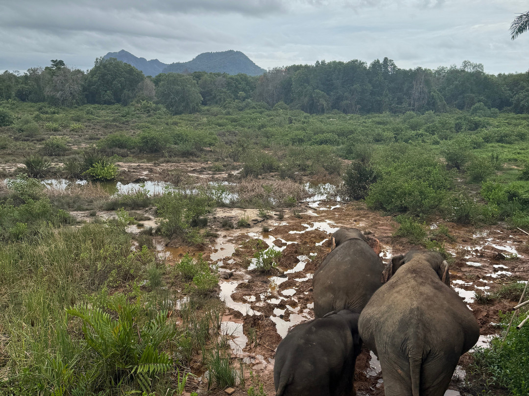 Following Giants - Krabi-Khlong Hin必去景点