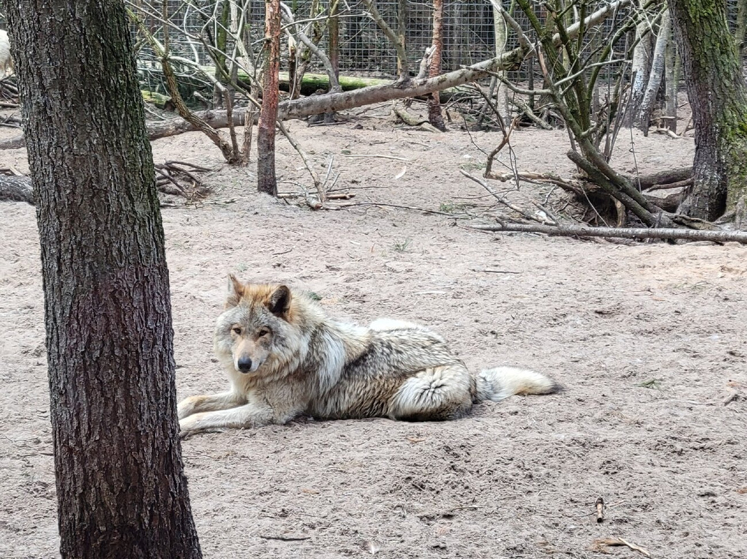 GarLyn Zoo Wildlife Park-Naubinway必去景点