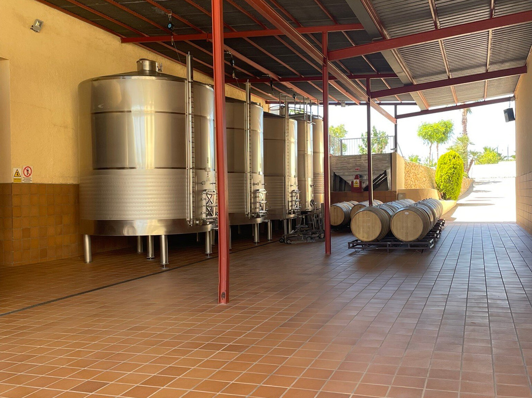 Bodegas Enrique Mendoza-L'Alfas del Pi必去景点