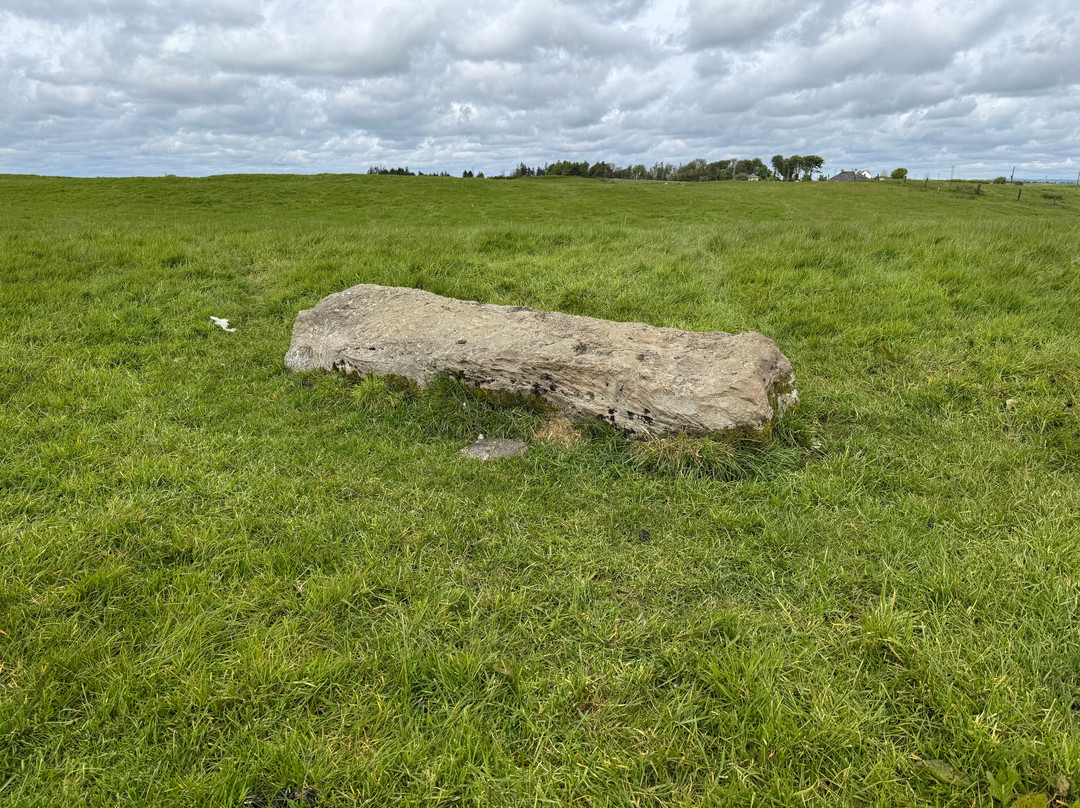 Rathcroghan Royal Site & Visitor Centre-Tulsk必去景点
