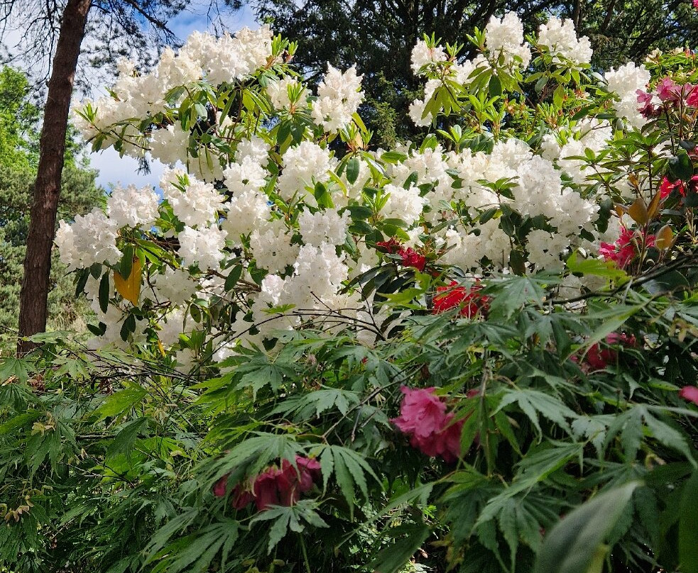 Lea Gardens-马特洛克必去景点