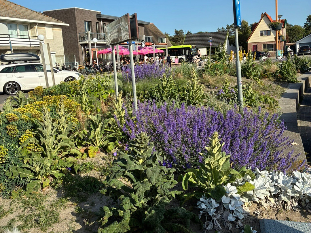 Callantsoog Beach-Callantsoog必去景点