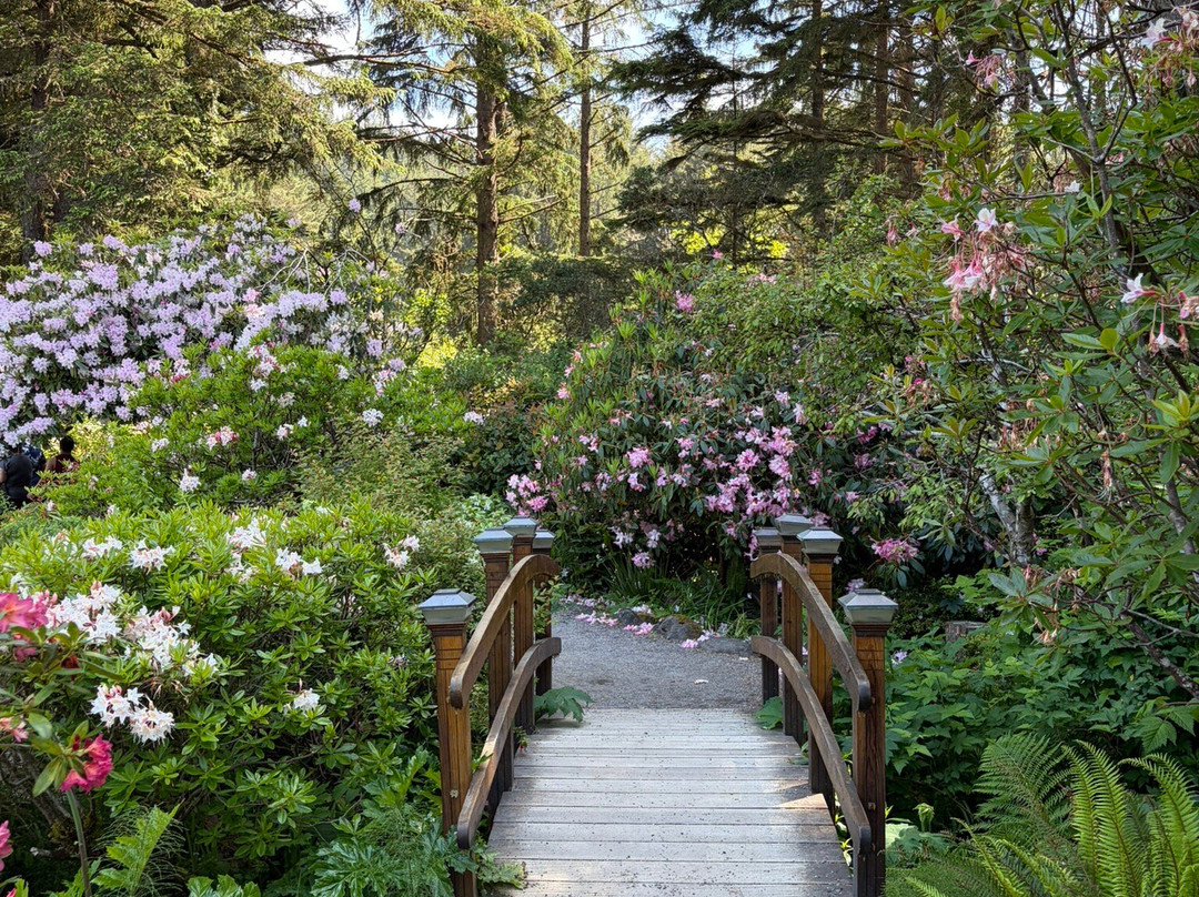 Shore Acres State Park-库斯贝必去景点