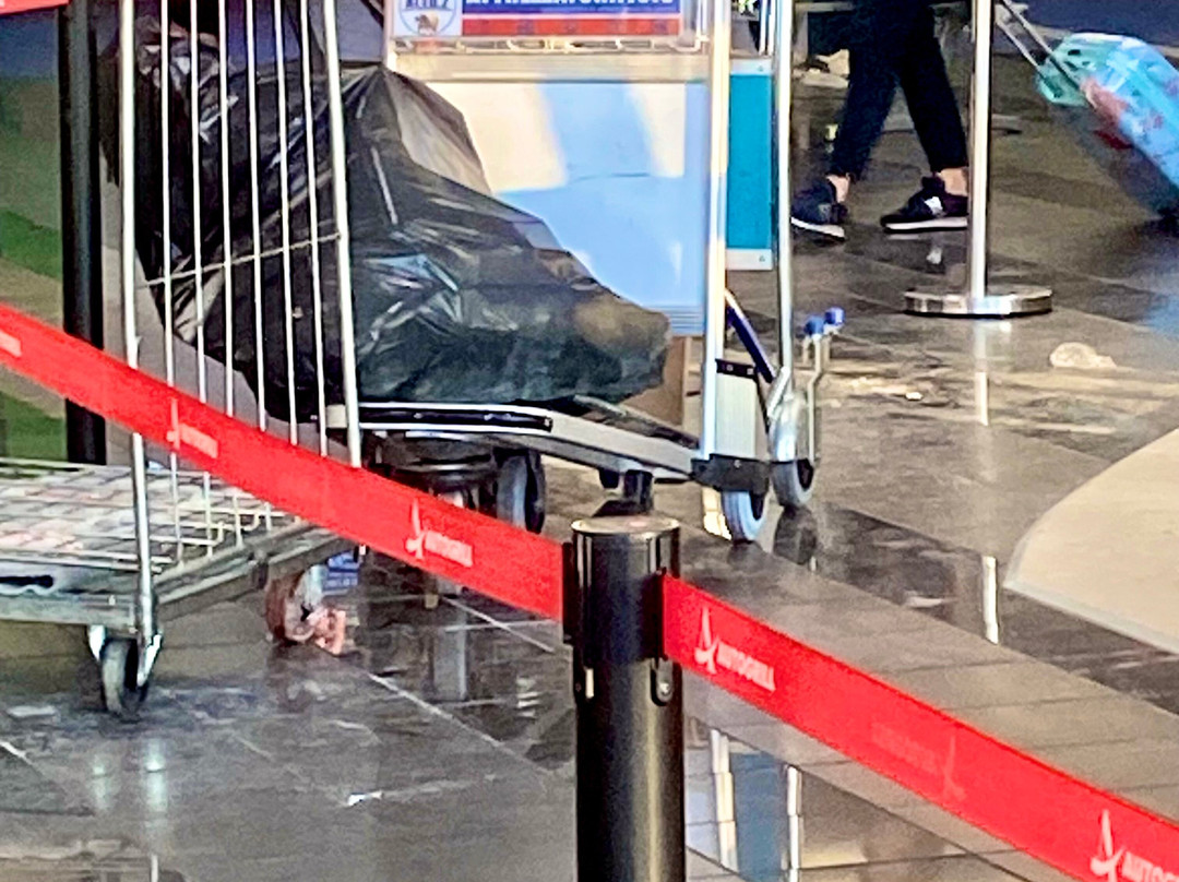 Centro Commerciale Caselle Aeroporto di Torino  Sandro Pertini-Caselle Torinese必去景点