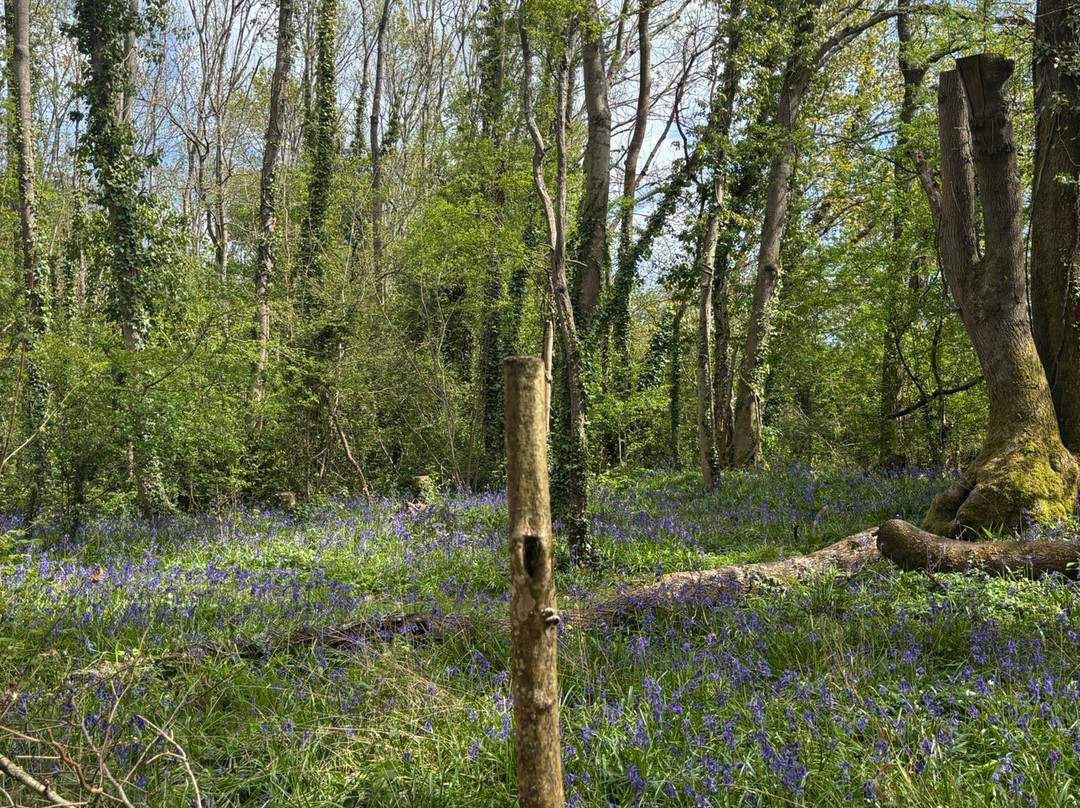 Itchen Valley Country Park-伊斯特利必去景点