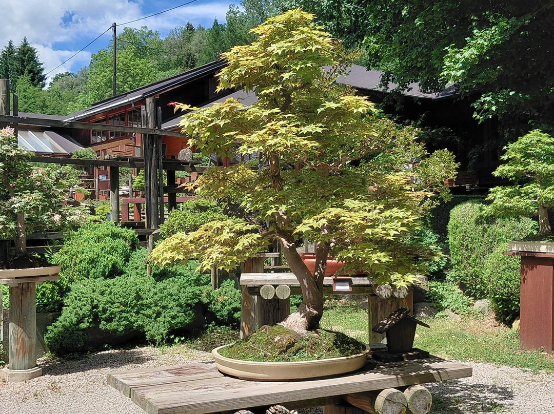 Bonsaimuseum-湖底城必去景点