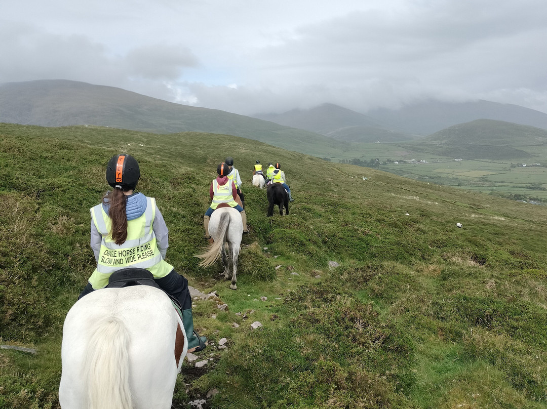 Dingle Horse Riding-丁格尔必去景点