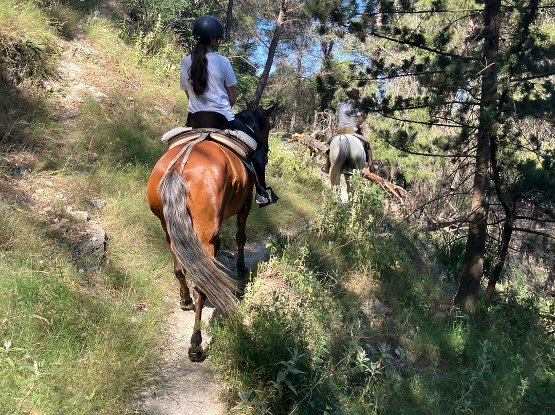 Horse Riding El Chorro-El Chorro必去景点