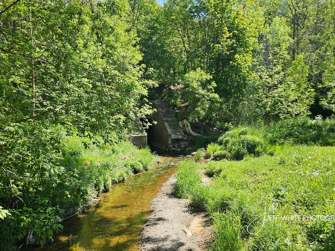 Centennial/Kinsmen Park-Stayner必去景点