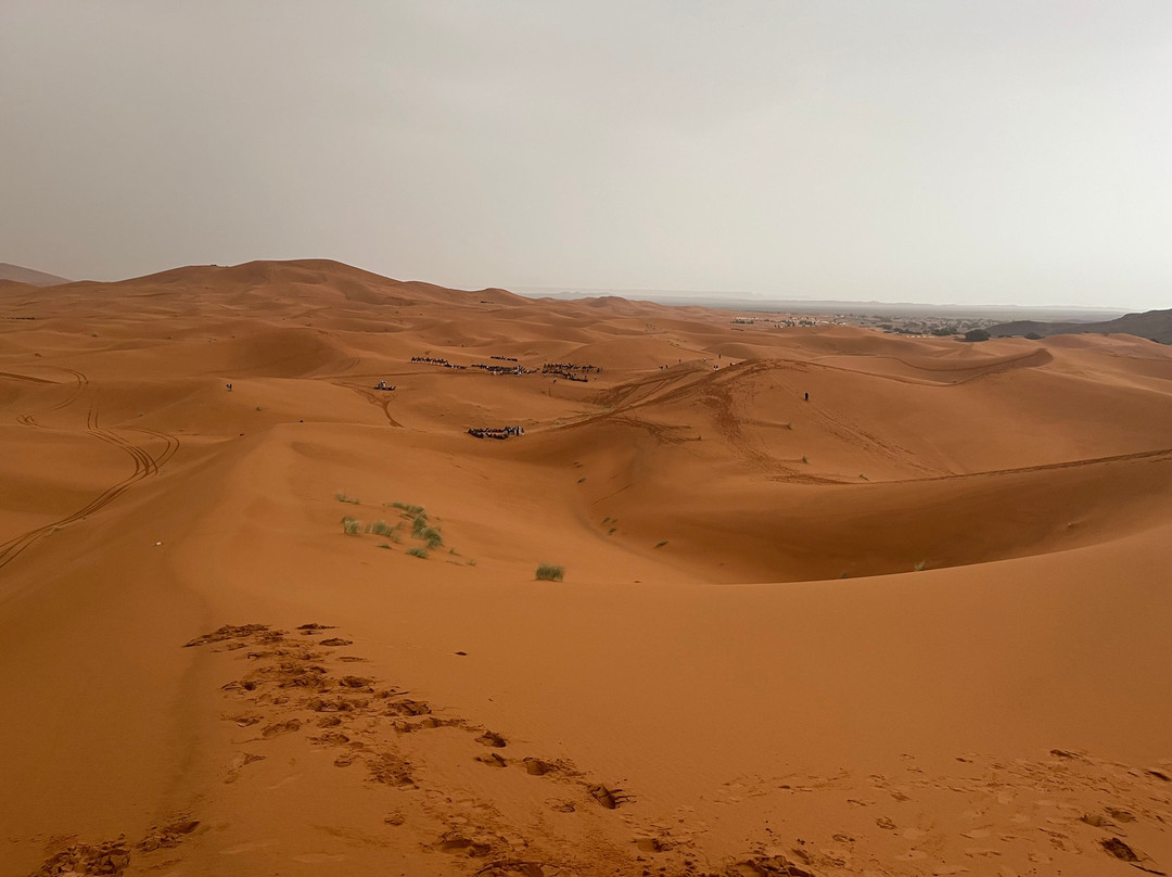 Desert Merzouga Tours-非斯必去景点