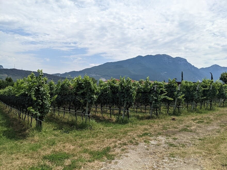 Azienda Agricola Comai