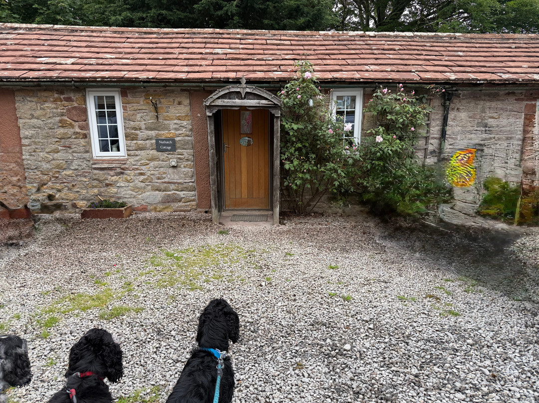 Wallace Lane Farm