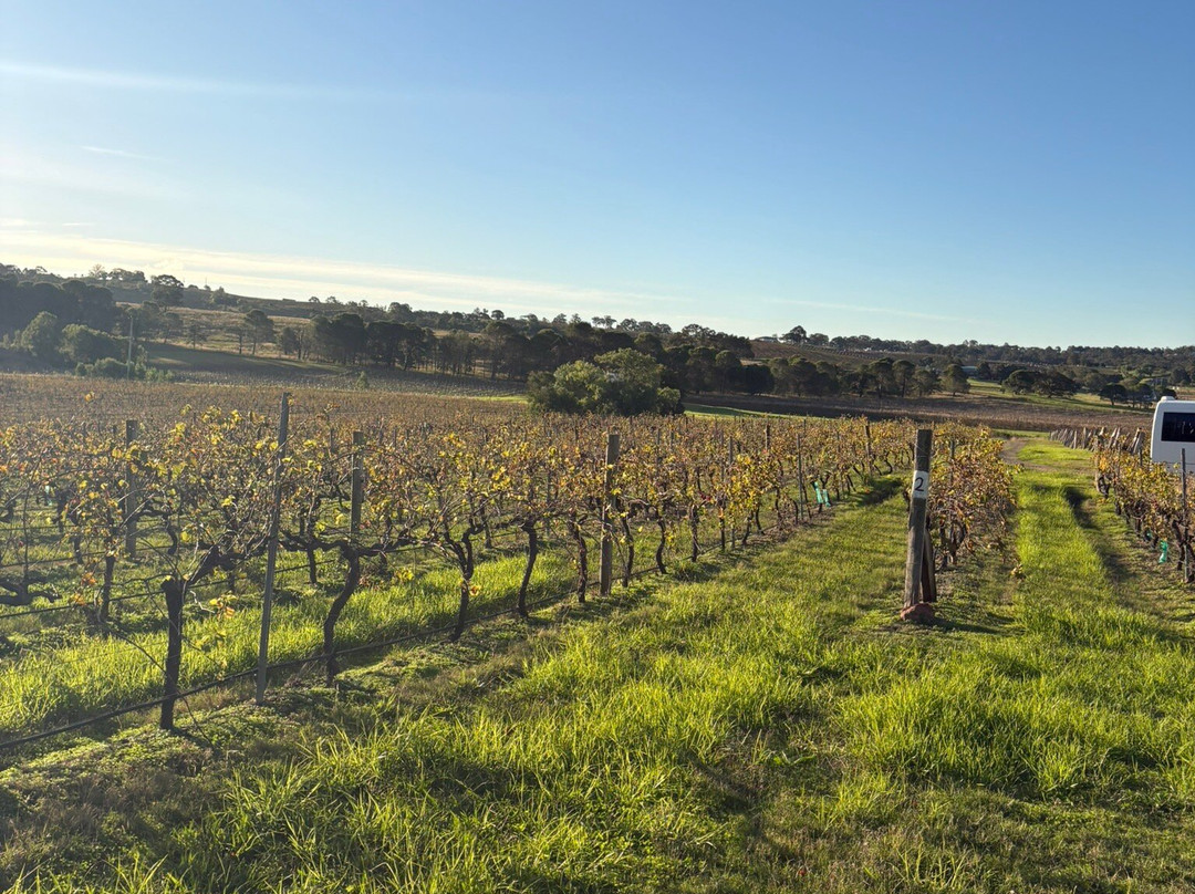 Wine D Road Tours-Rosebrook必去景点