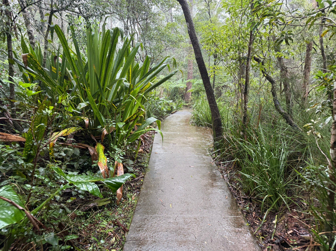 Goomoolahra Falls-春之泉必去景点