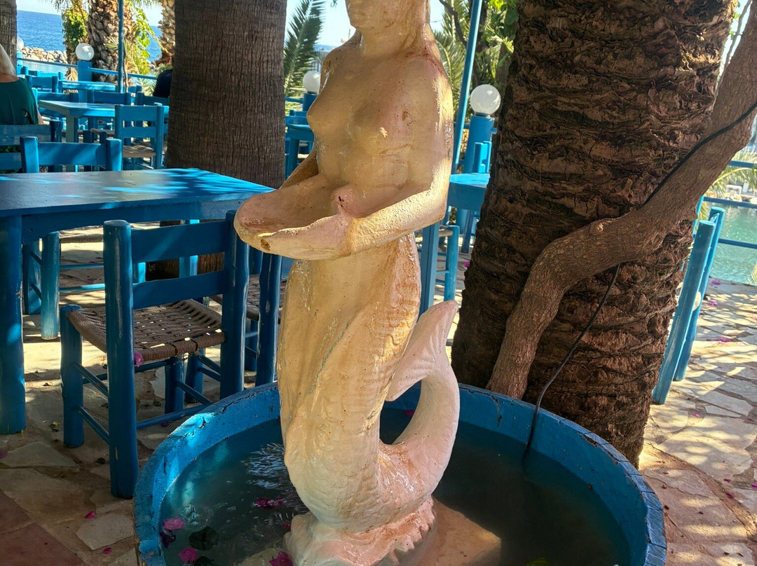Palm Bay主图