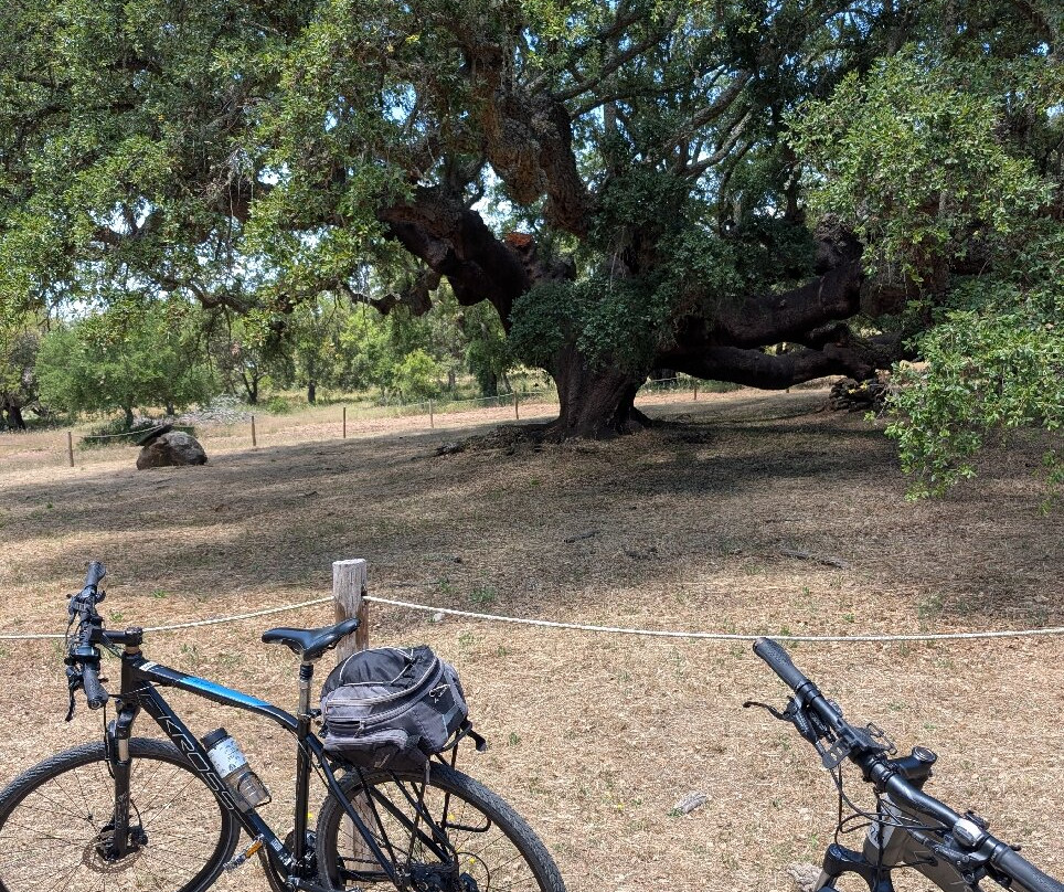 Portugal Best Cycling-埃武拉必去景点