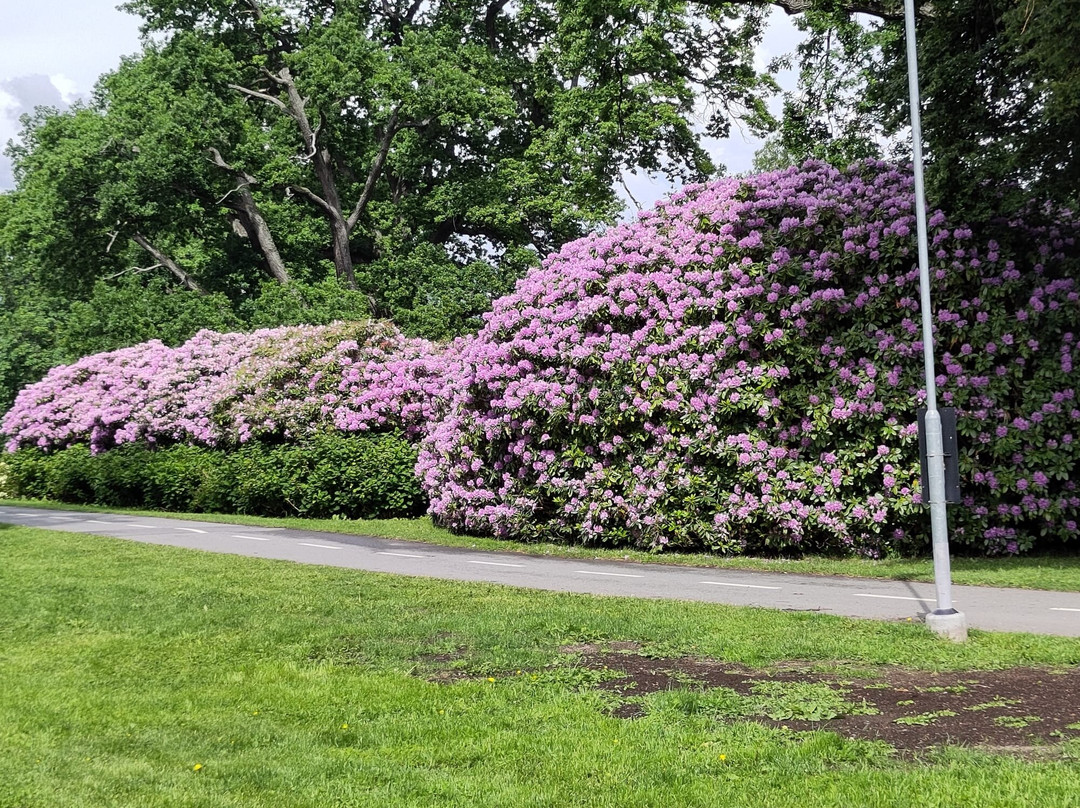 Rosenlunds Rosarium-延雪平必去景点