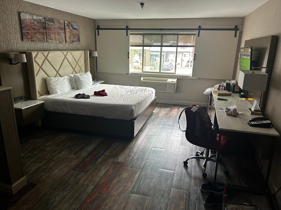 埃姆佩里亚海豪斯大酒店主图