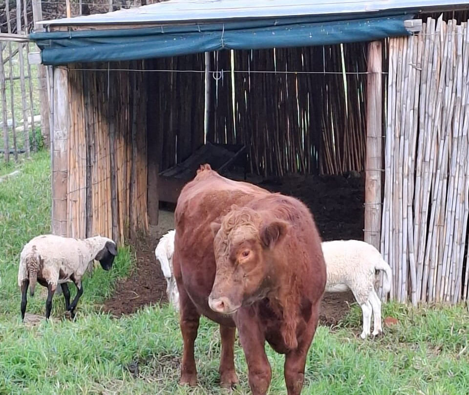老磨坊小屋及点菜餐厅主图