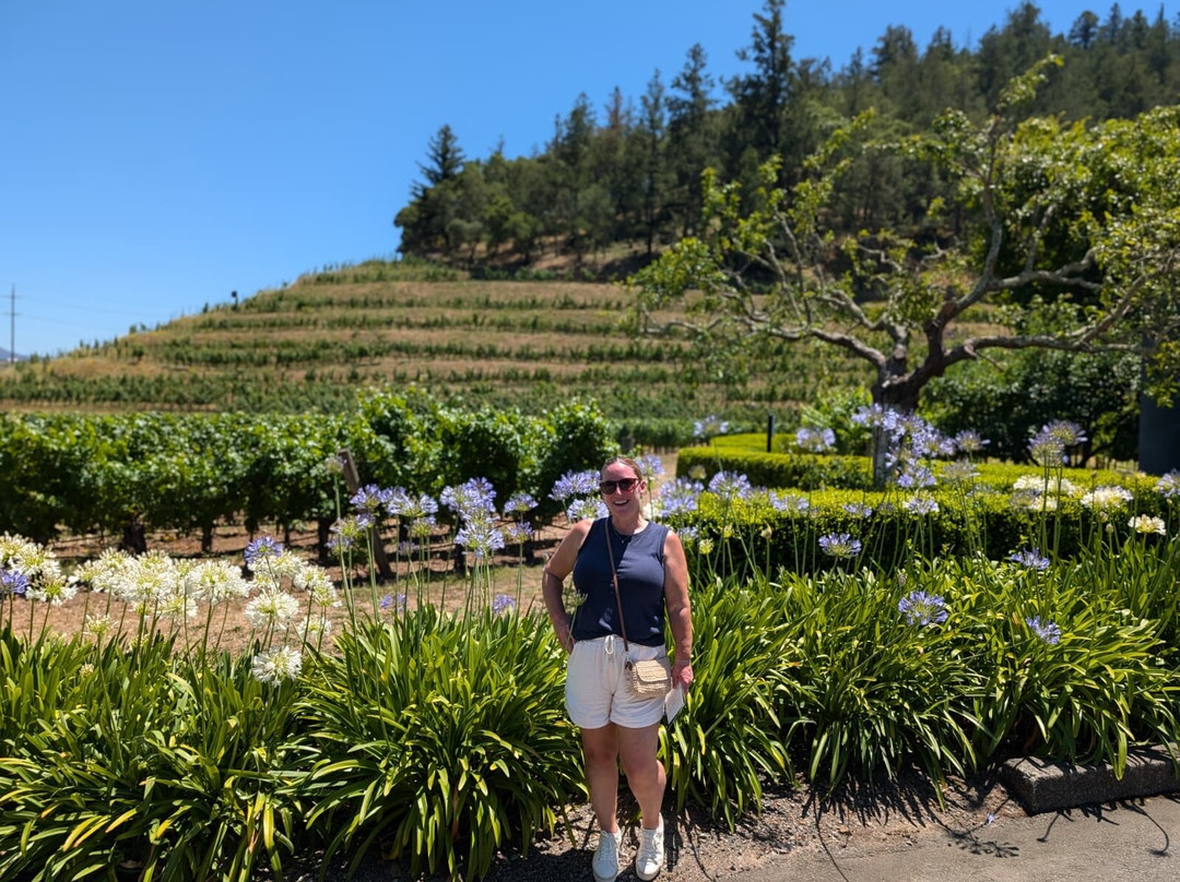 Pine Ridge Vineyards-纳帕必去景点